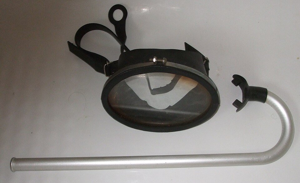 Snorkeler exploring the reef at Boca Catalina, Aruba