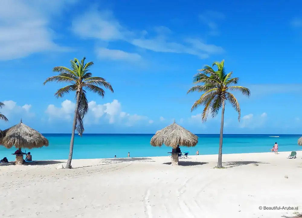 Arashi Beach snorkeling Aruba