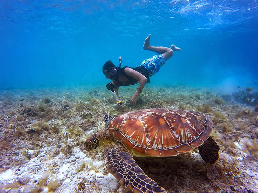 Aruba’s best snorkeling spots